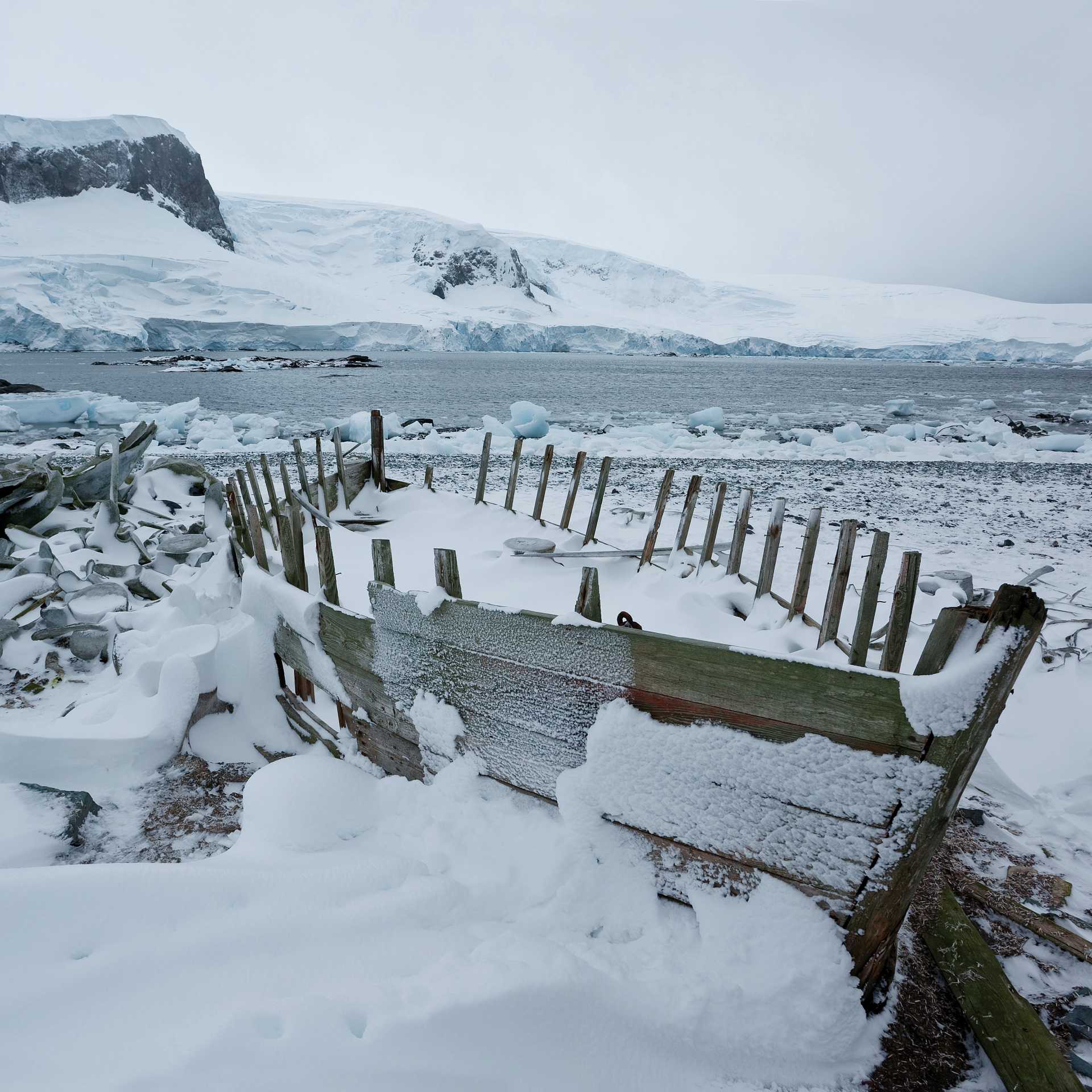 Frozen over on the Antarctic Peninsula | Peter Walton