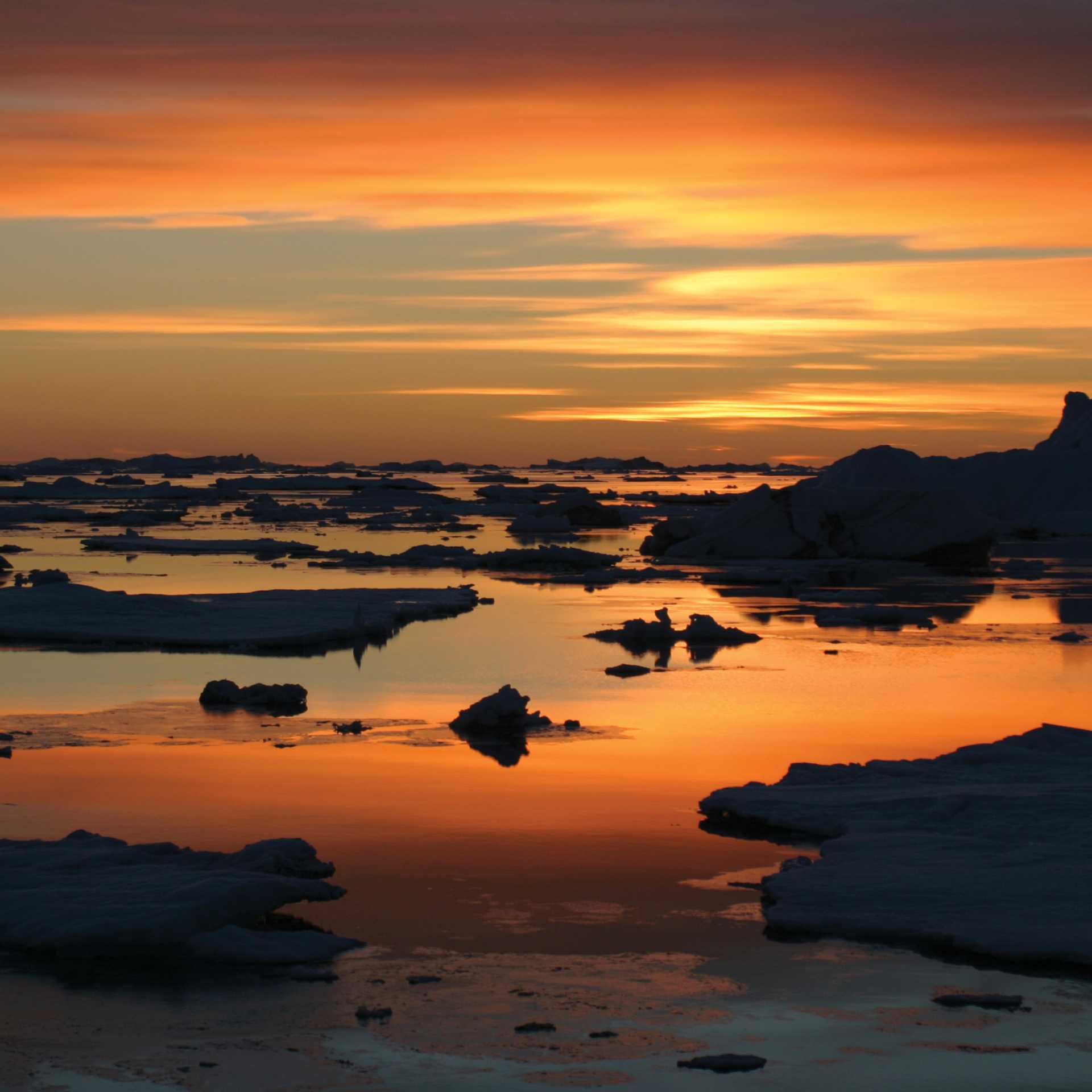 Sunrise in the Weddell Sea, Antarctica | Adam Tayler