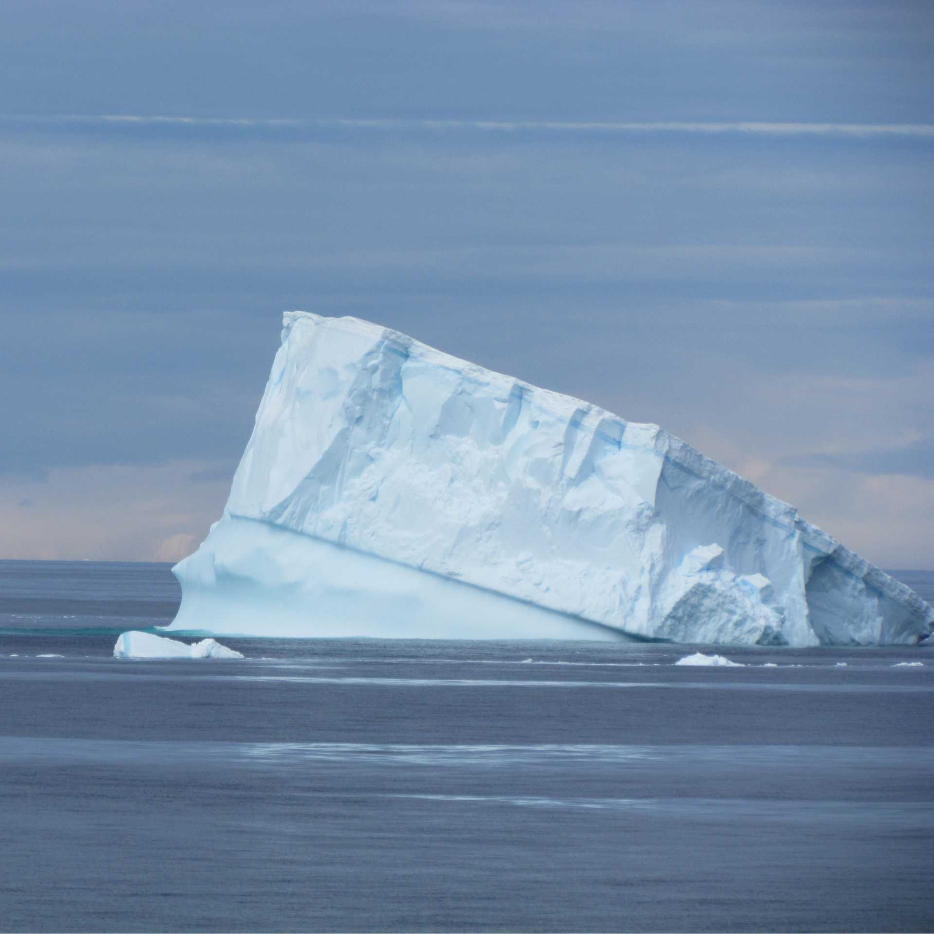 The sculptured ice of Antarctica | Ali Liddle