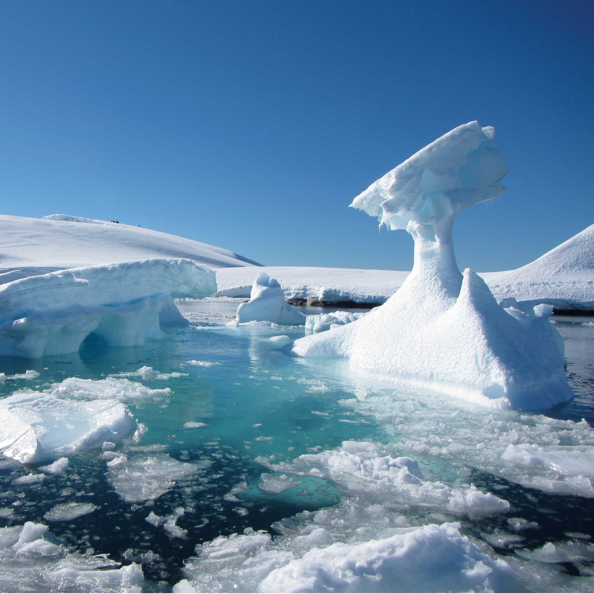 Iceberg scenery, Antarctic peninsula | Learna Cale
