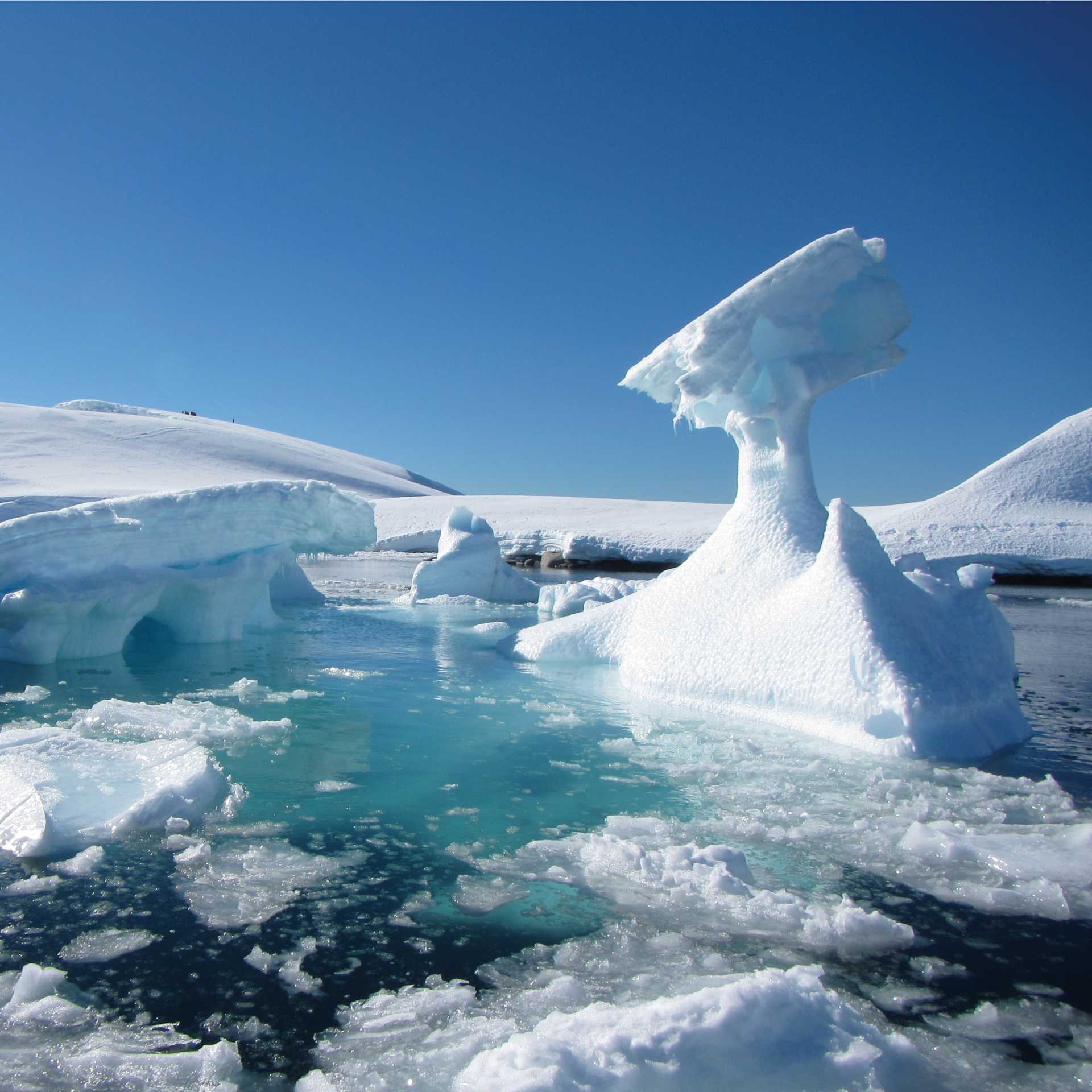 Iceberg scenery, Antarctic peninsula | Learna Cale
