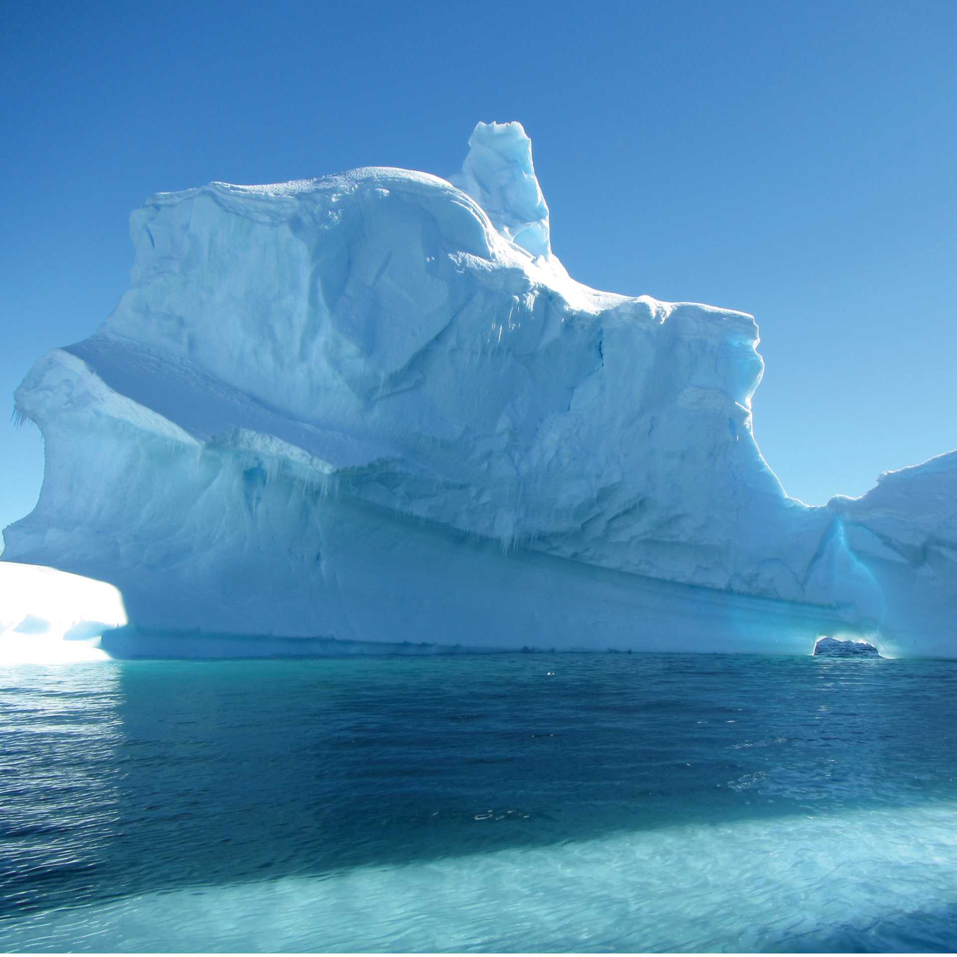 Icebergs off the Antarctic peninsula | Learna Cale