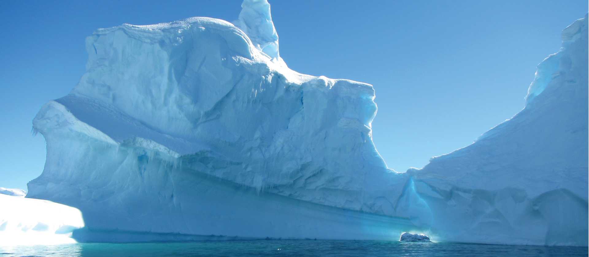 Icebergs off the Antarctic peninsula | Learna Cale