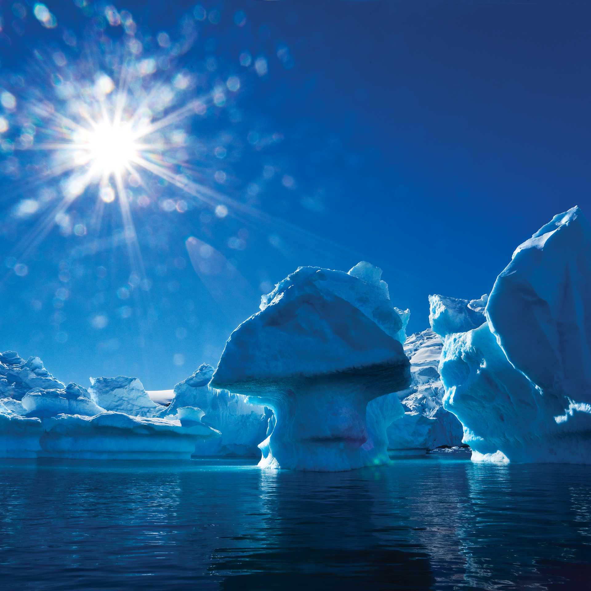 The majestic beauty of the Antarctic Peninsula | Peter Walton
