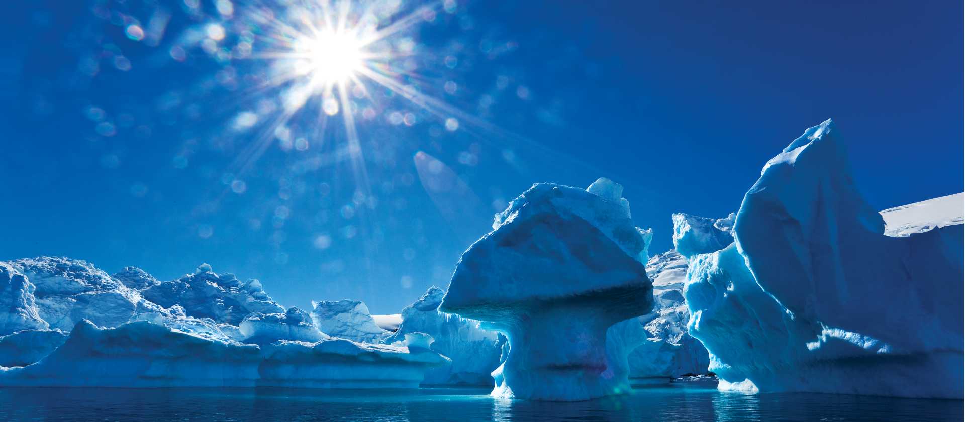 The majestic beauty of the Antarctic Peninsula | Peter Walton
