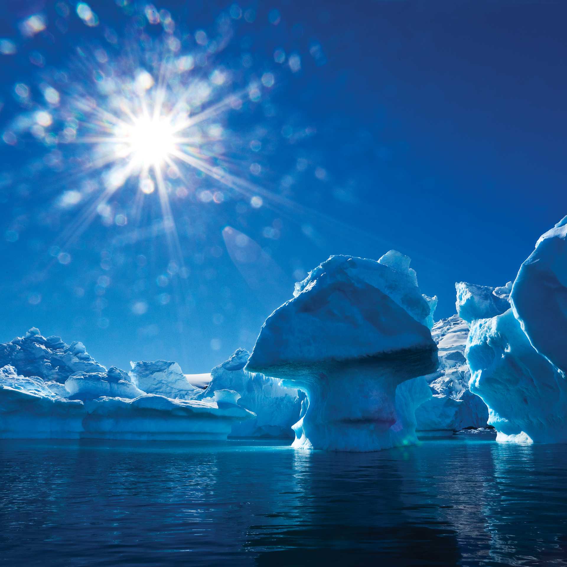The majestic beauty of the Antarctic Peninsula | Peter Walton