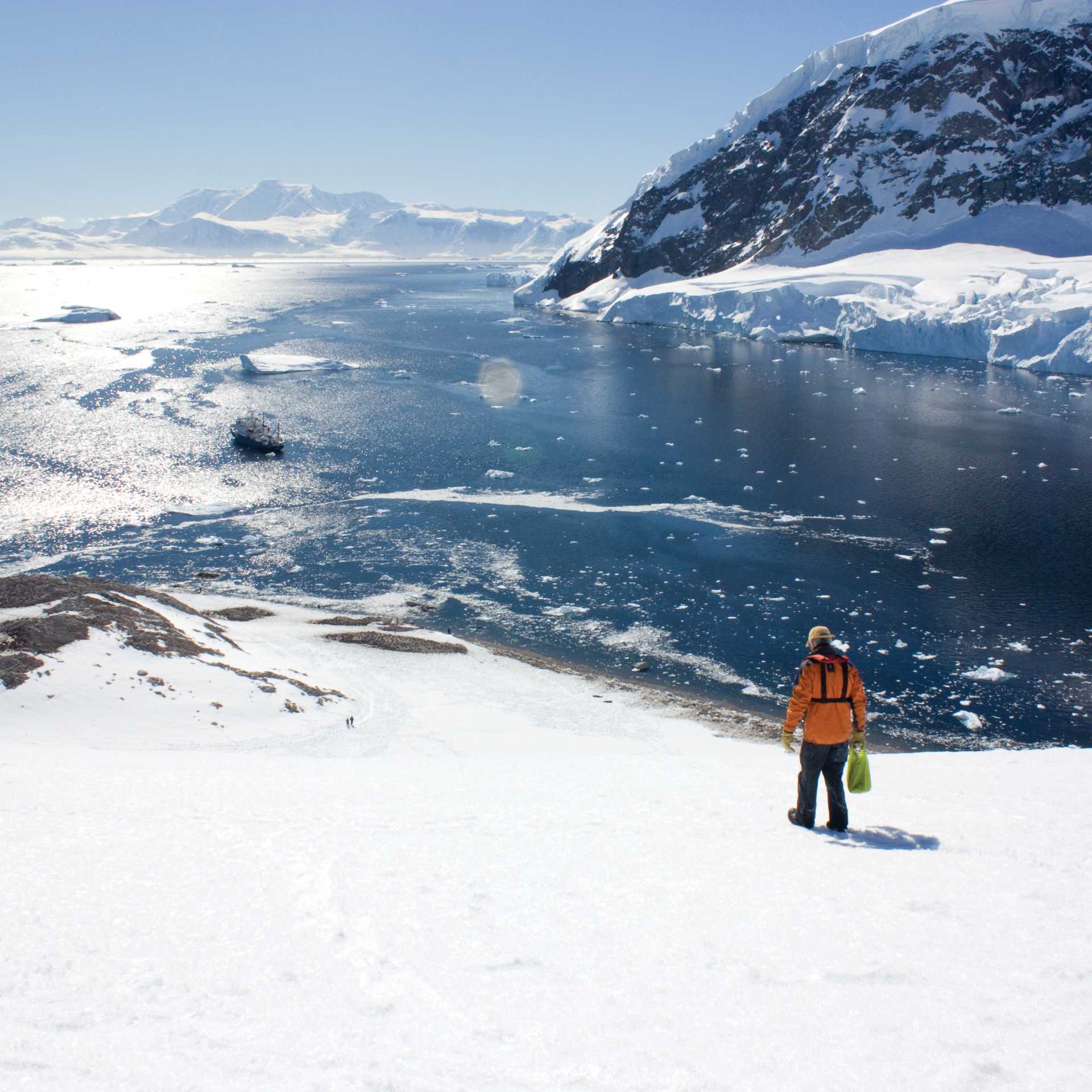 Vast proportions of the Antarctic peninsula | Learna Cale