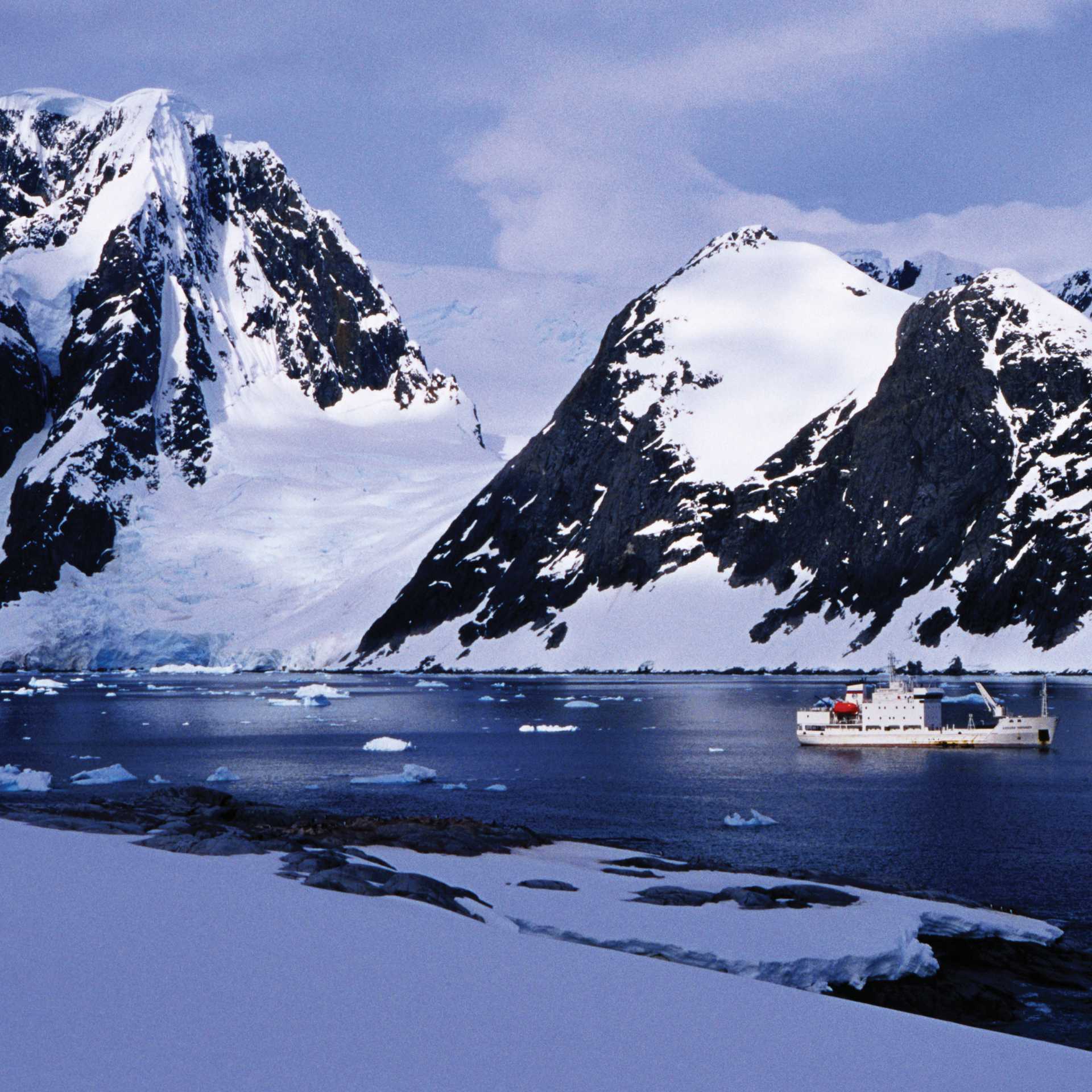 Wild Antarctica | Richard I'Anson