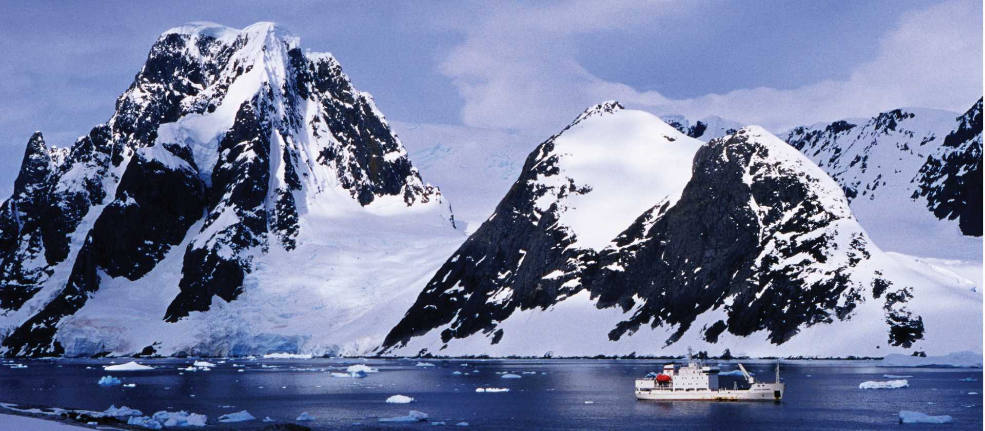 Wild Antarctica | Richard I'Anson