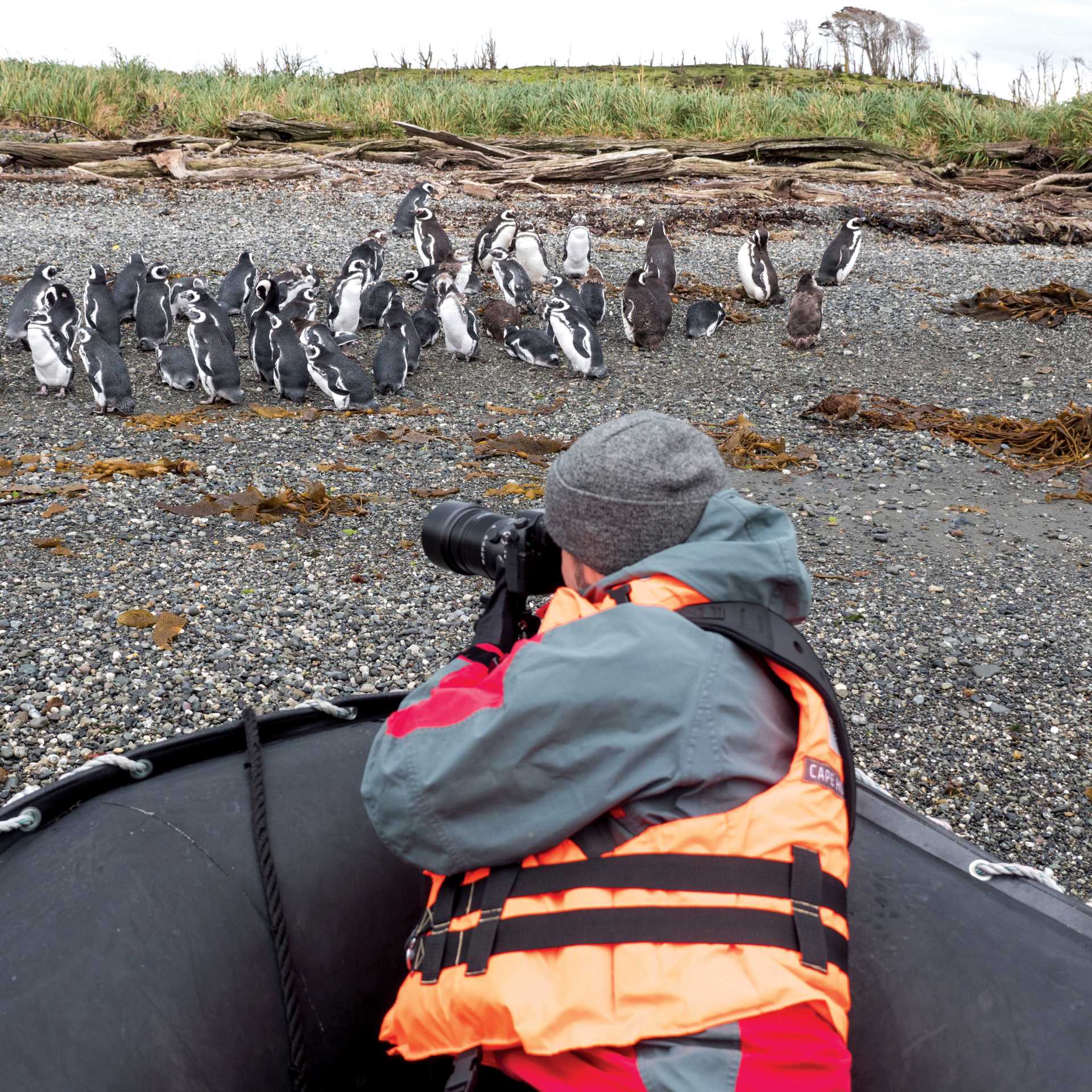 One of the many experiences offered with Australis