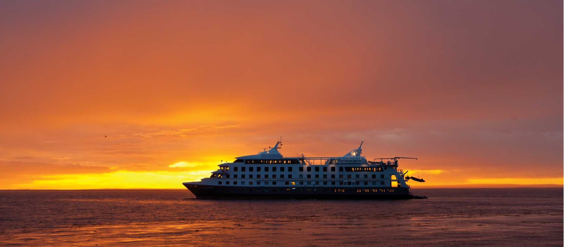 Views of Stella Australis as the sun sets