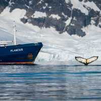 Life onboard Plancius | Dietmar Denger