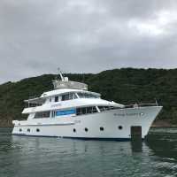 Heritage Explorer in Marlborough Sounds, NZ