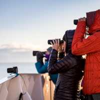 Expansive outdoor areas