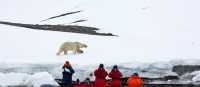 Wildlife observation in the High Arctic