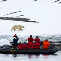 Wildlife observation in the High Arctic