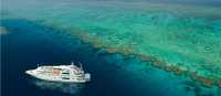 Coral Discoverer living up to her name