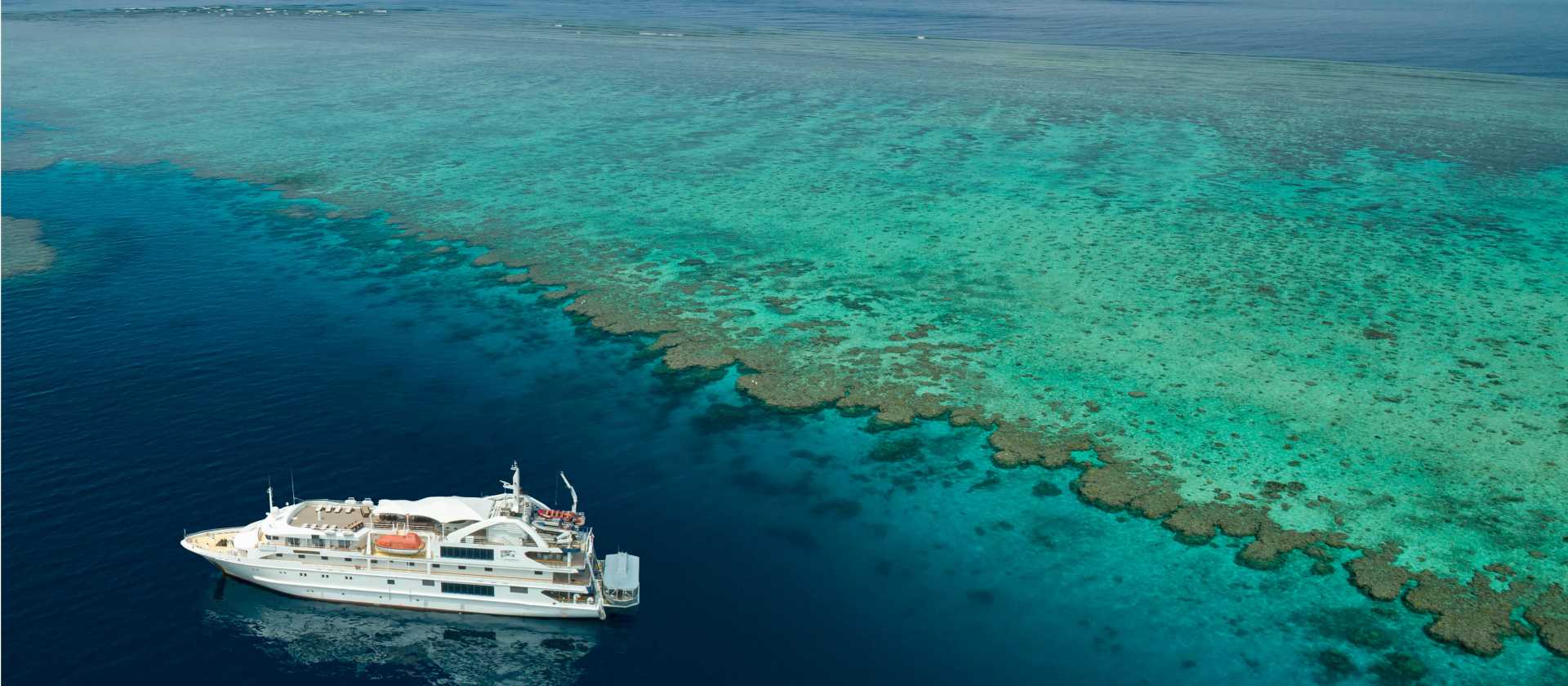 Coral Discoverer living up to her name