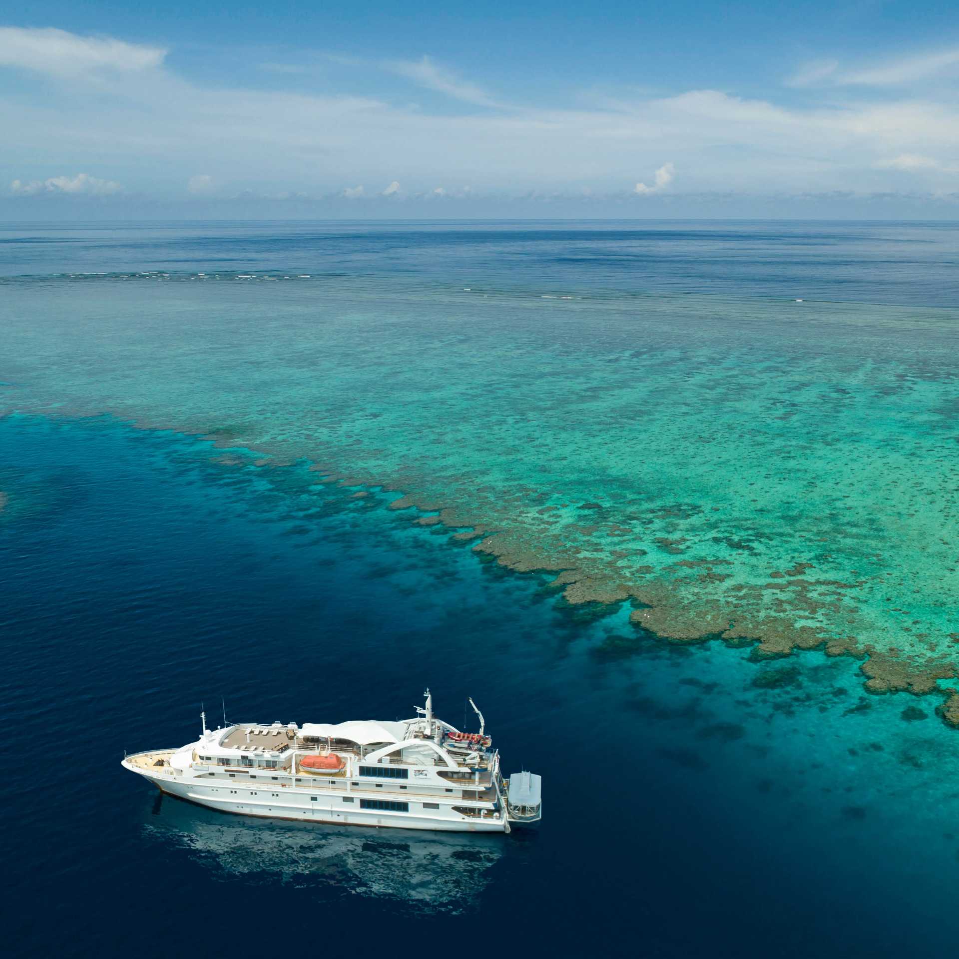 Coral Discoverer living up to her name