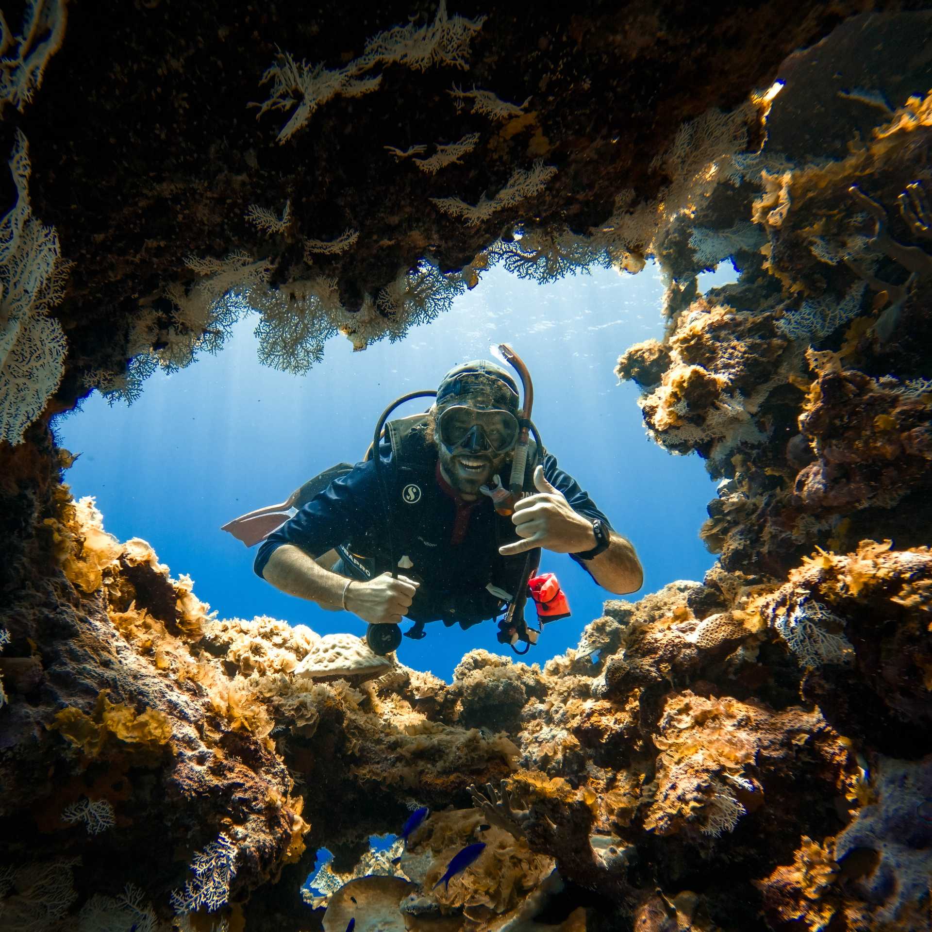 Diving in the Coral Triangle, Indonesia