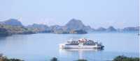 Coral Geographer in the Komodo islands