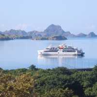 Coral Geographer in the Komodo islands
