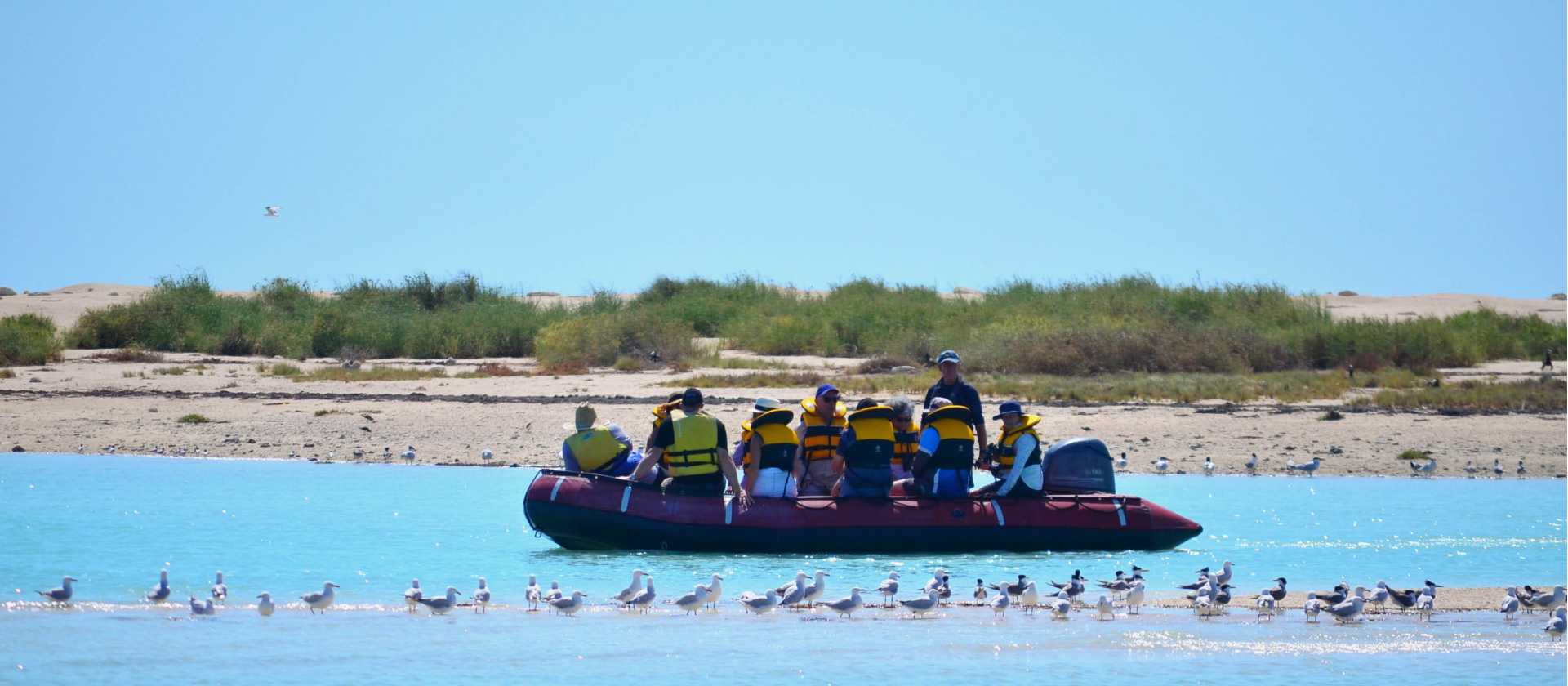 Zodiac cruising in the Lacepede Islands