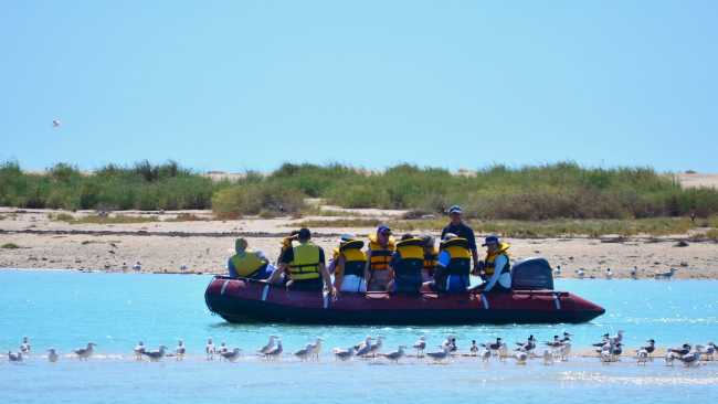 Zodiac cruising in the Lacepede Islands