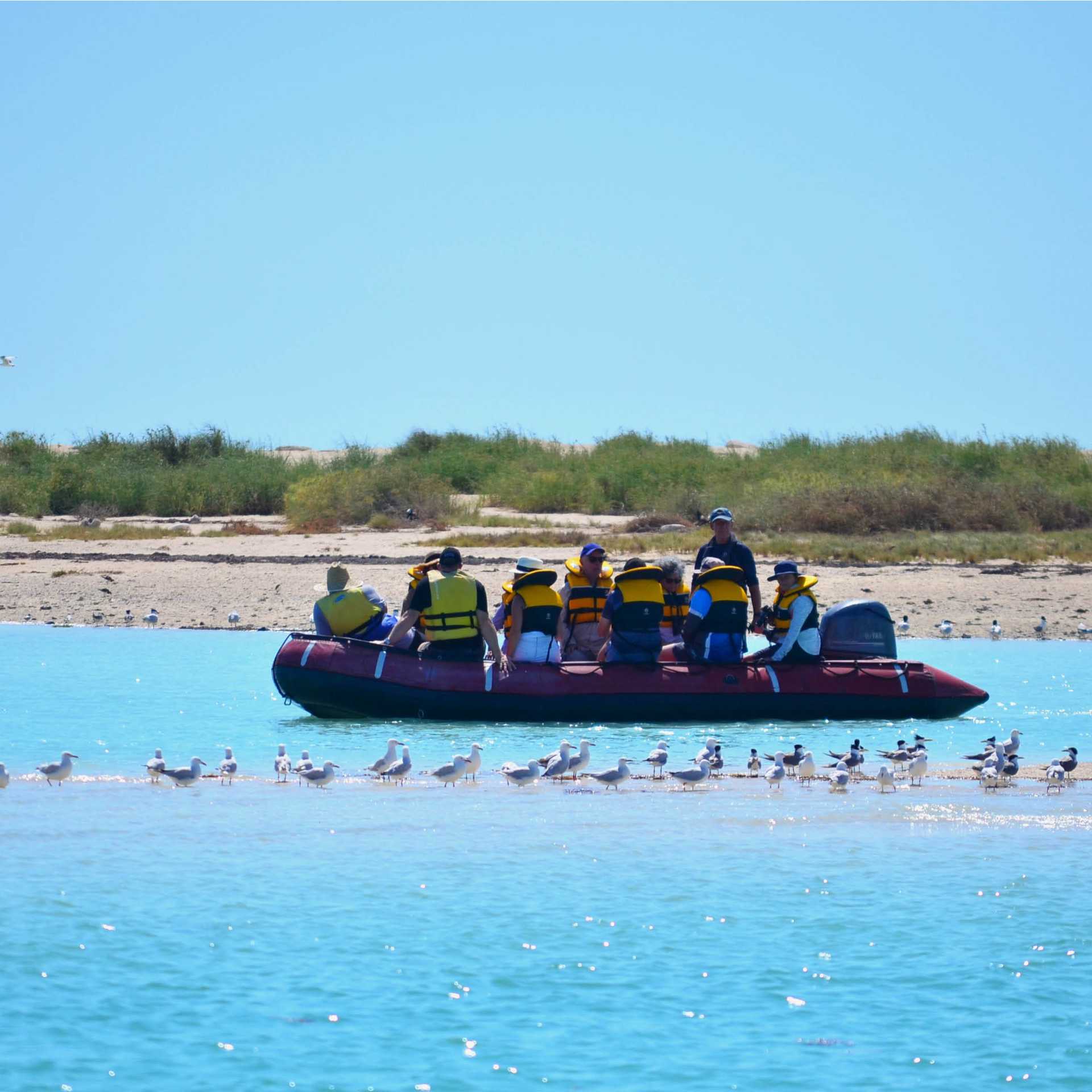 Zodiac cruising in the Lacepede Islands