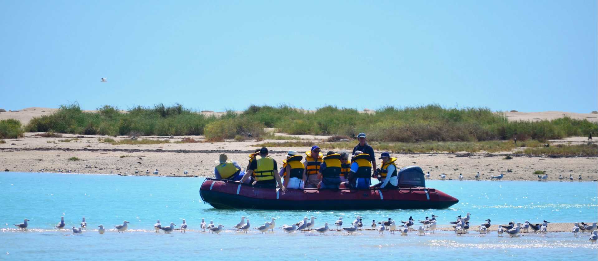 Zodiac cruising in the Lacepede Islands