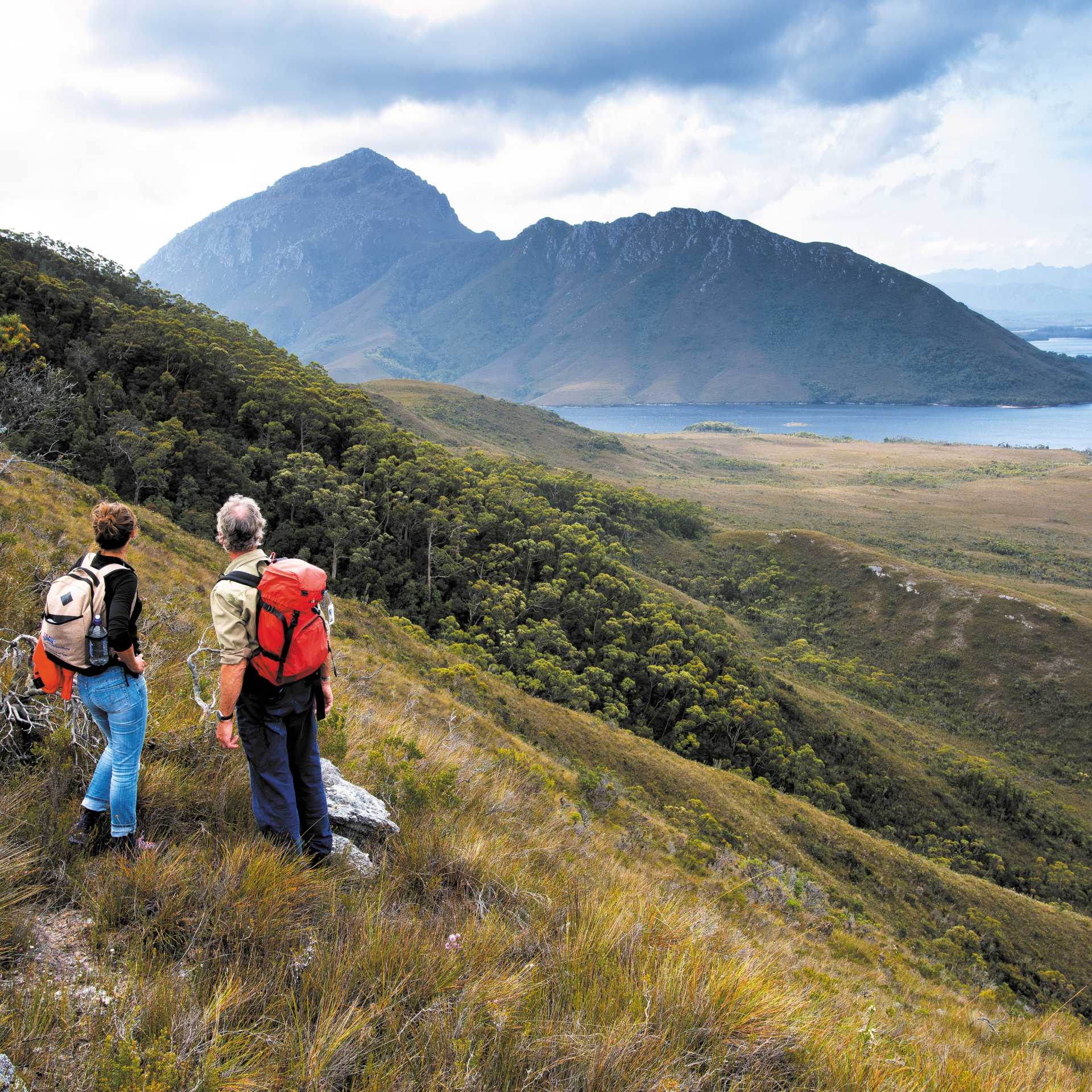 Hiking near Port Davey, Tasmania
