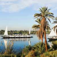 Dahabieh Abydos & Karnak on the Nile