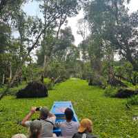 Exploring Tra Su Forest, Vietnam