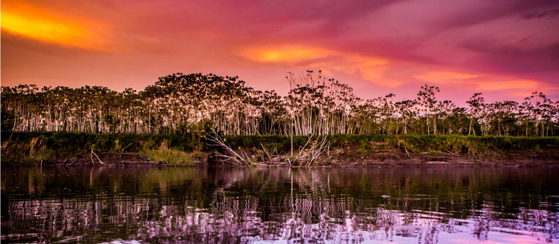 The magical colours and tones of the Amazon jungle, Peru