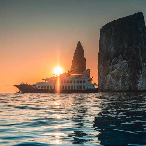 Explore the wildlife rich Galapagos Islands