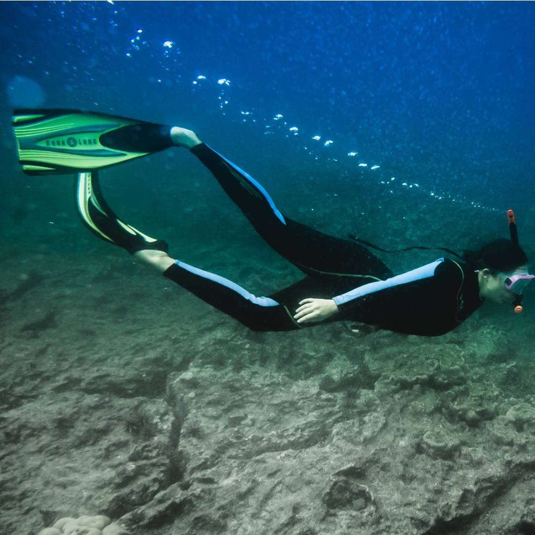 Explore above and below, snorkel in the Galapagos Islands