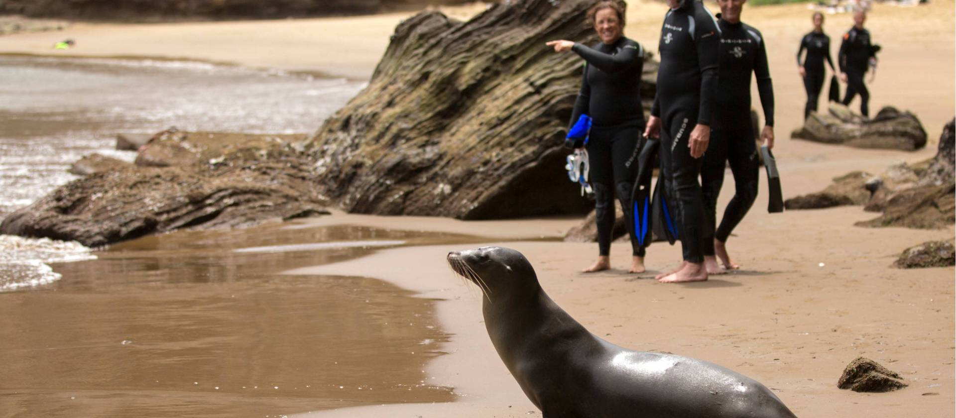 Snorkel gear is provide including wetsuits