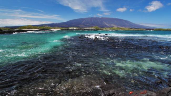 Fernandina Island, Galapagos Islands