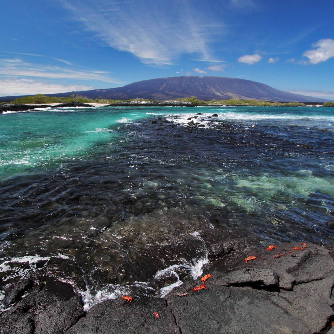 Fernandina Island, Galapagos Islands