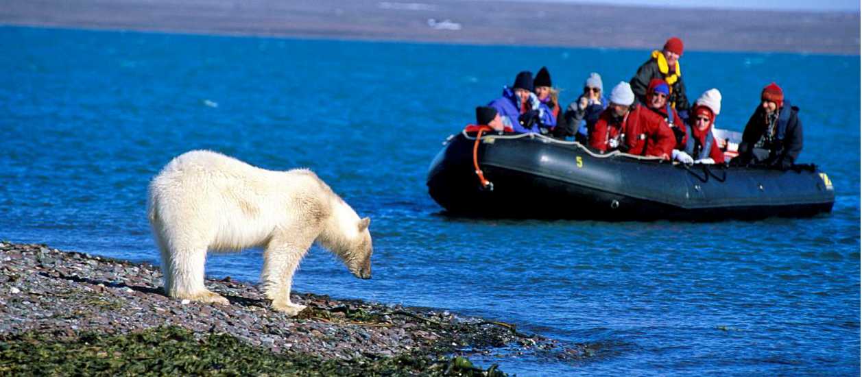 Wildlife viewing on Spitsbergen | Rinie van Meurs