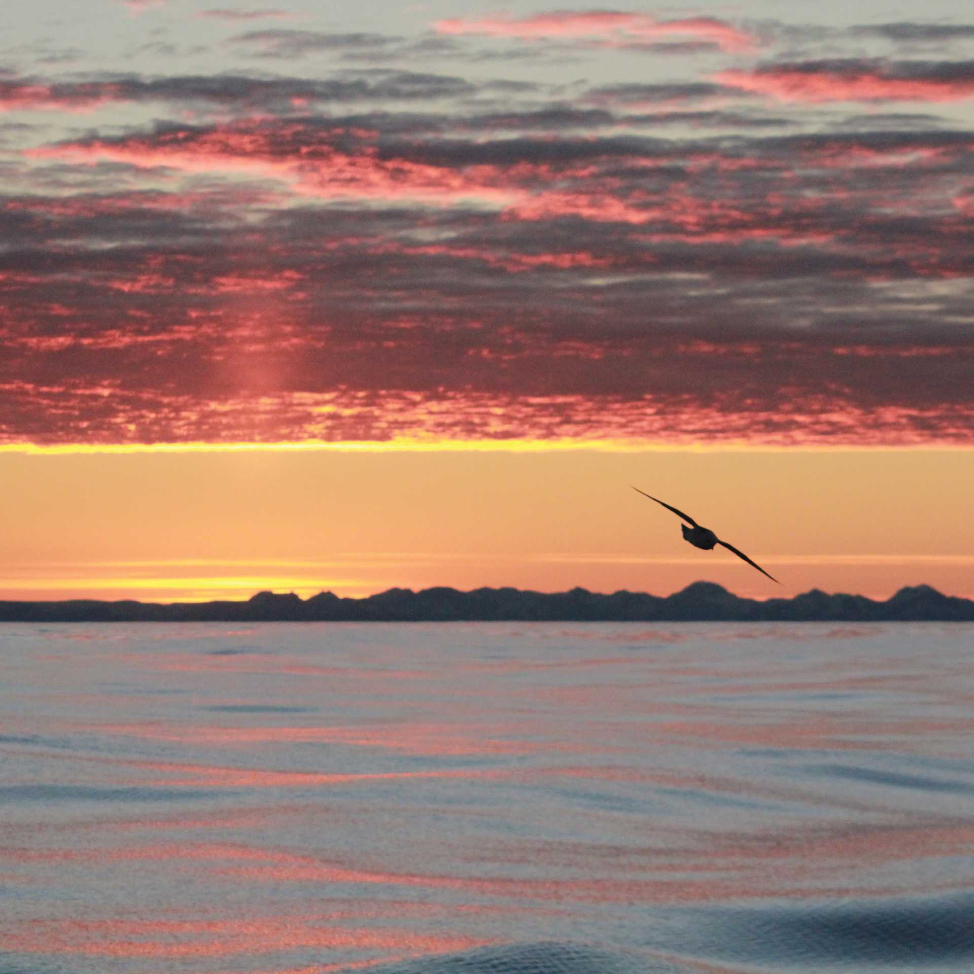 Varied colours of sunset in the Arctic | Rachel Imber