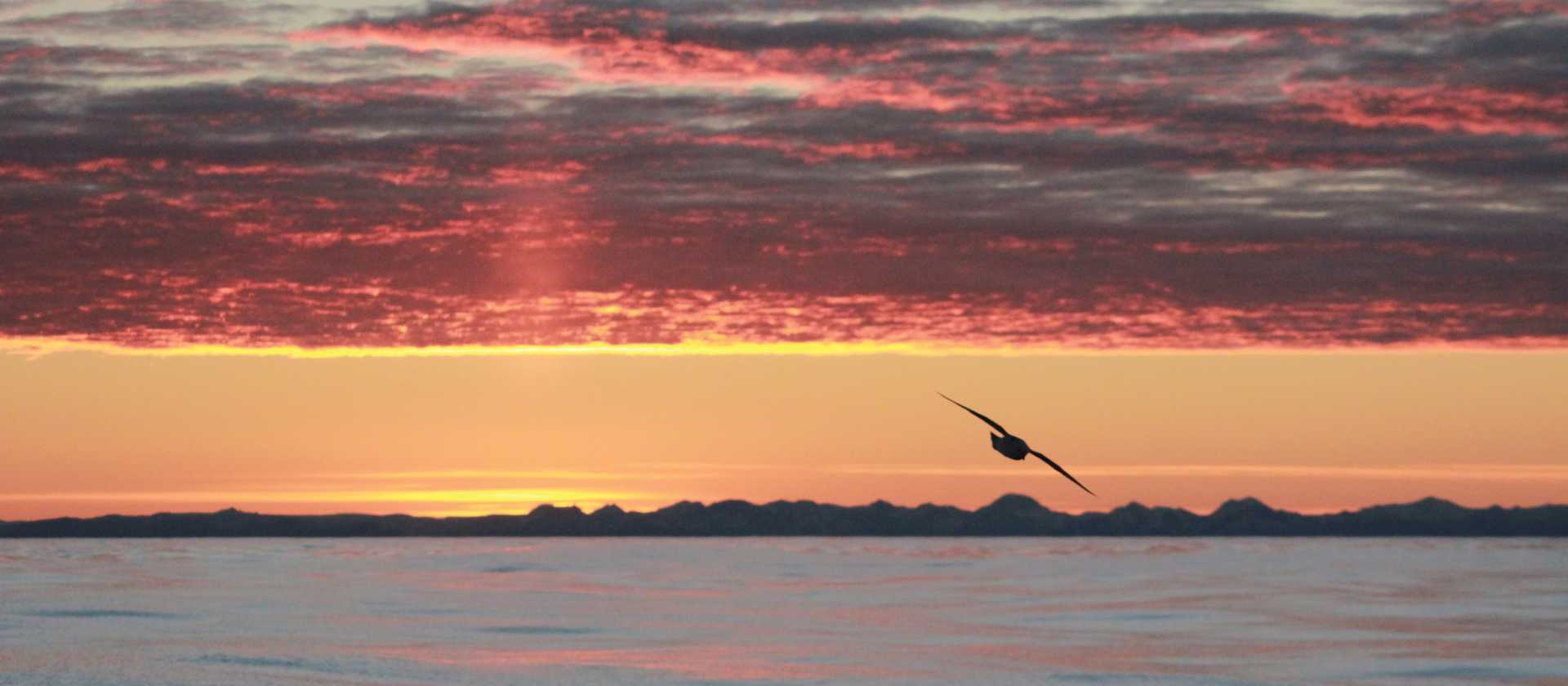 Varied colours of sunset in the Arctic | Rachel Imber