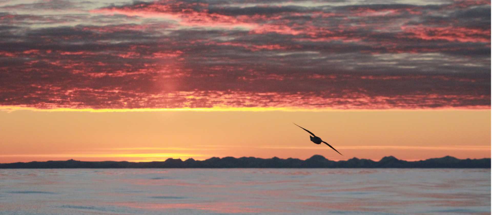 Varied colours of sunset in the Arctic | Rachel Imber