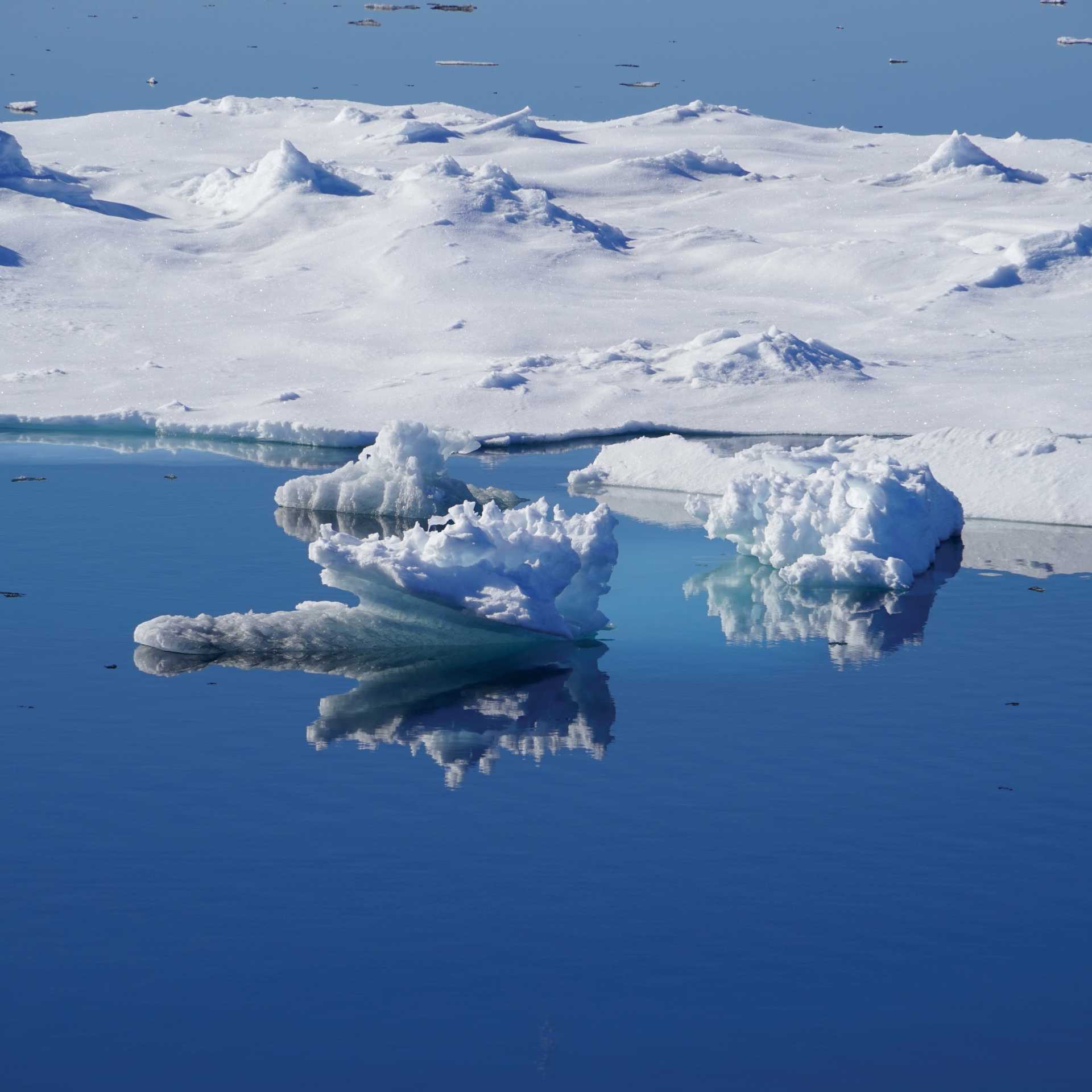 Calm reflections sailing Svalbard | Gesine Cheung