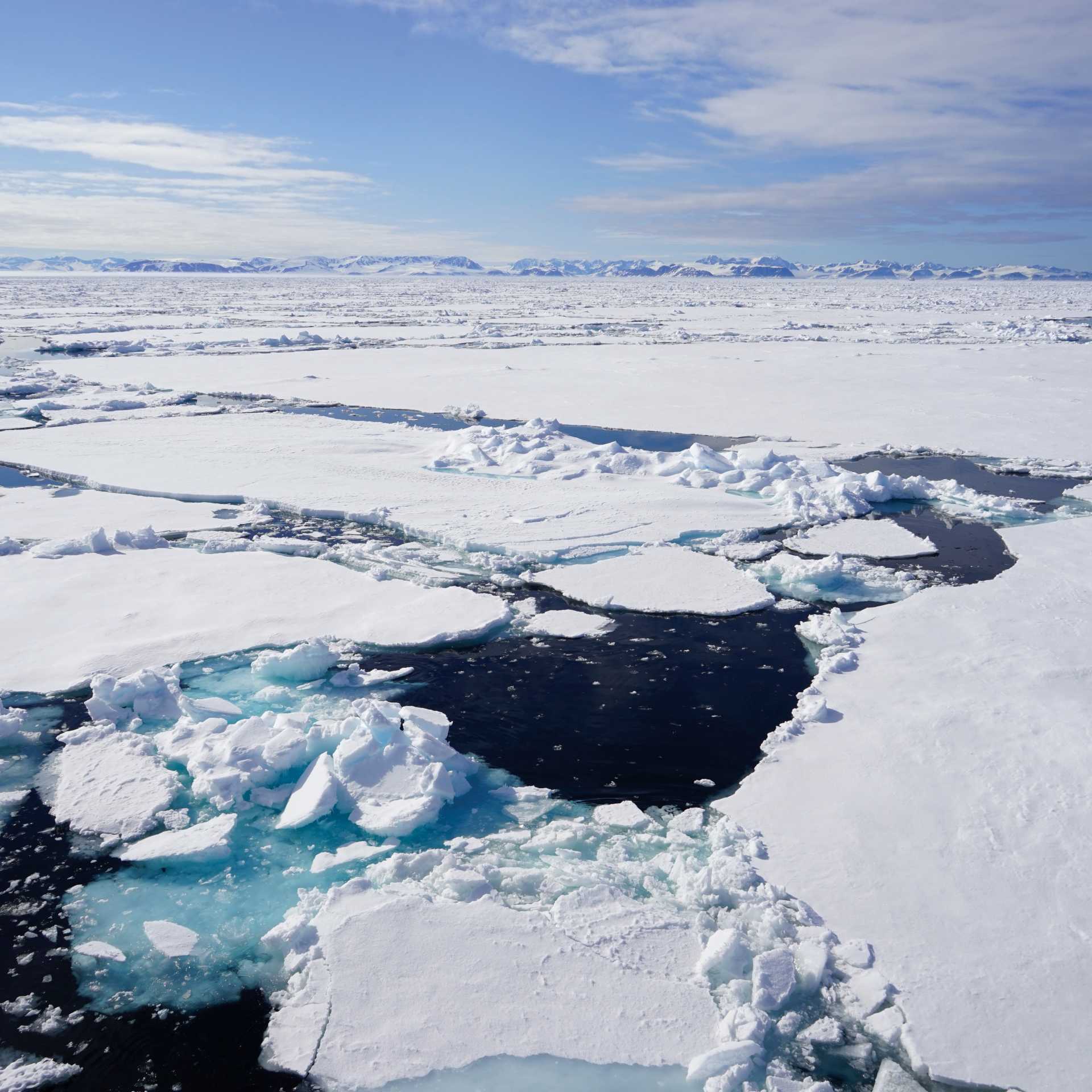 Views across the pack ice | Gesine Cheung