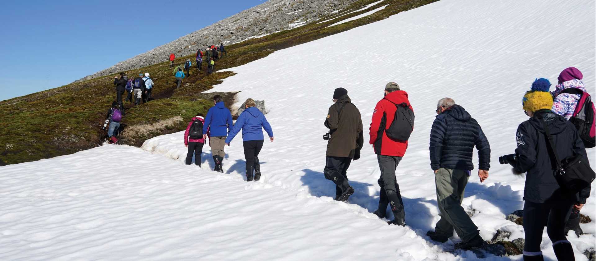 Walking to a Little Auks nesting spot in Svalbard | Gesine Cheung