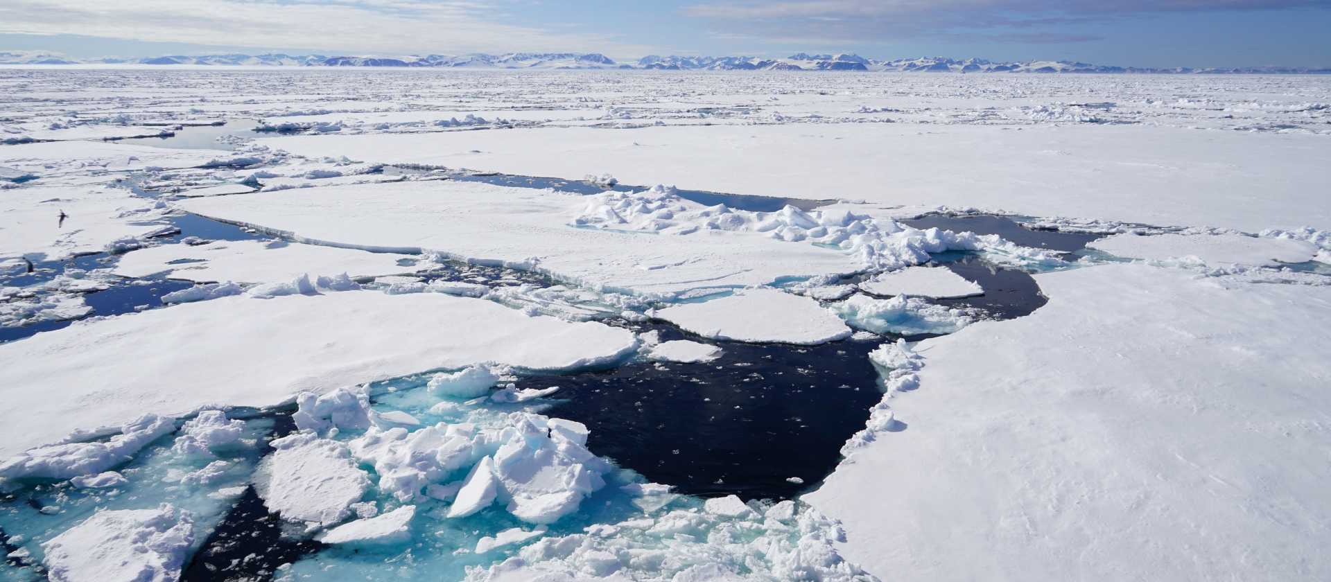 Views across the pack ice | Gesine Cheung