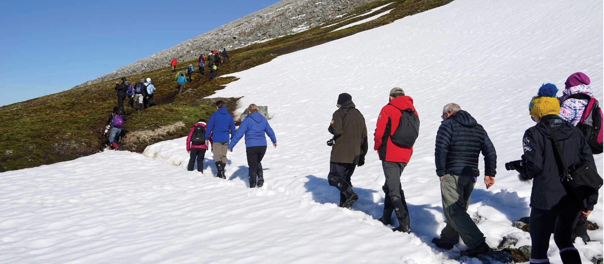 Walking to a Little Auks nesting spot in Svalbard | Gesine Cheung