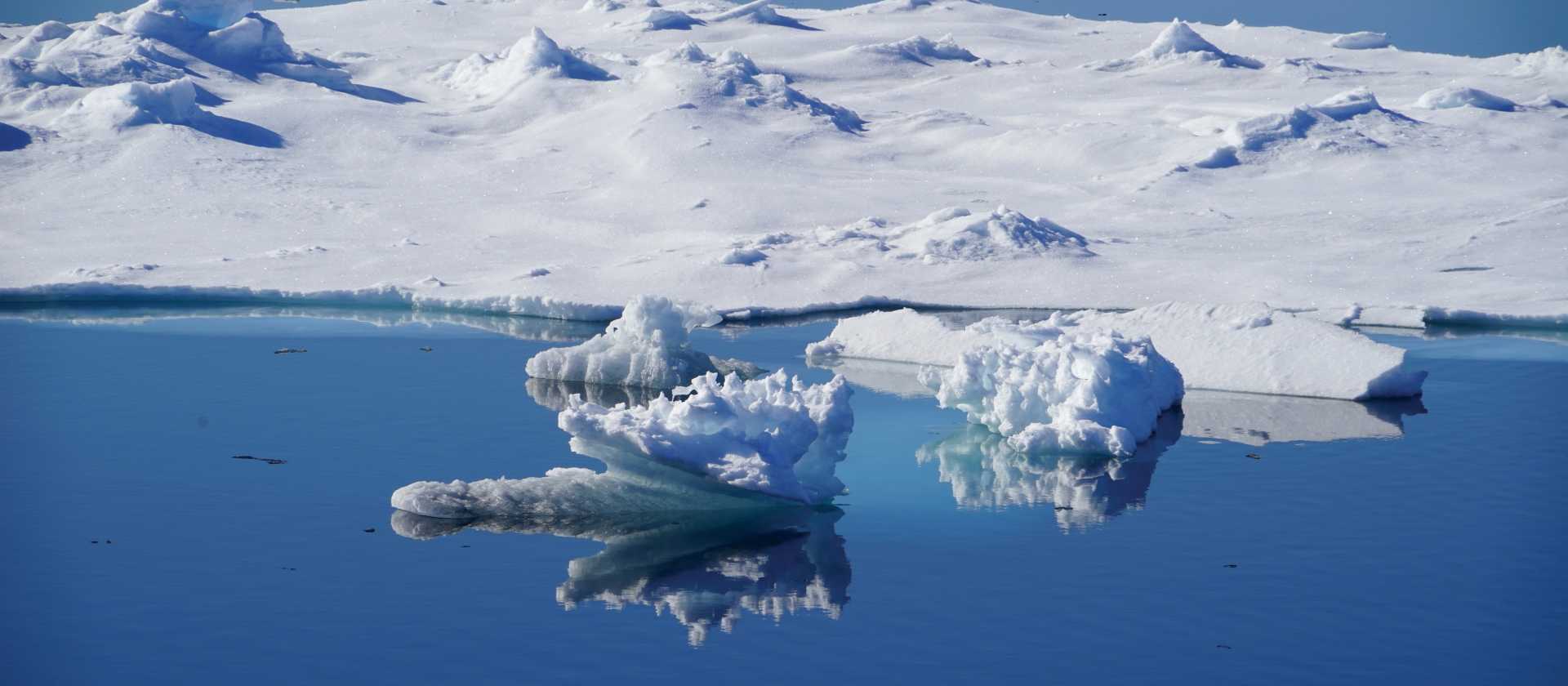 Calm reflections sailing Svalbard | Gesine Cheung