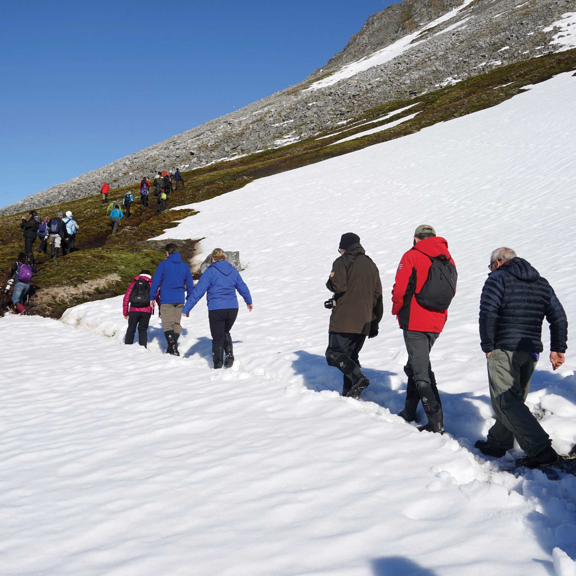Walking to a Little Auks nesting spot in Svalbard | Gesine Cheung